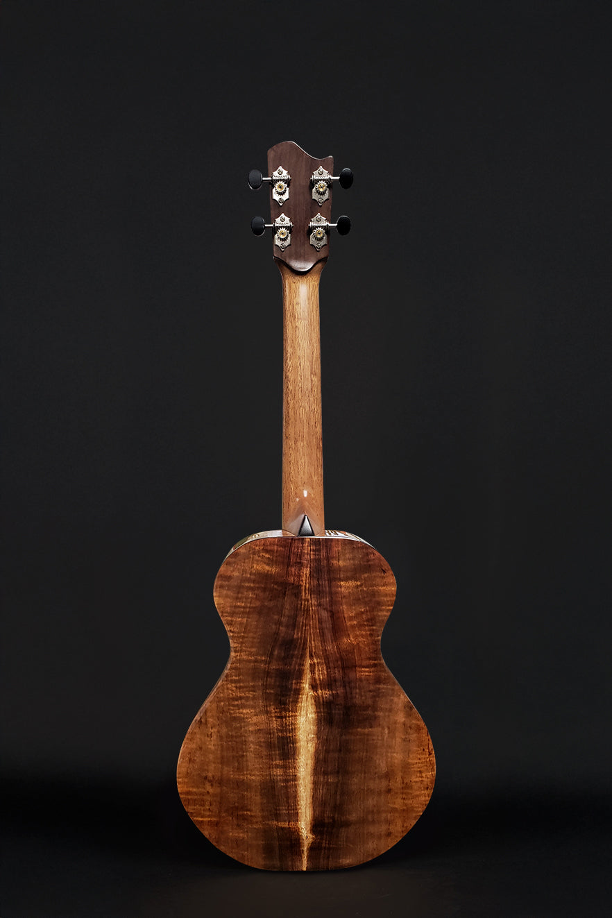 PT-HUMMINGBIRD (T32)