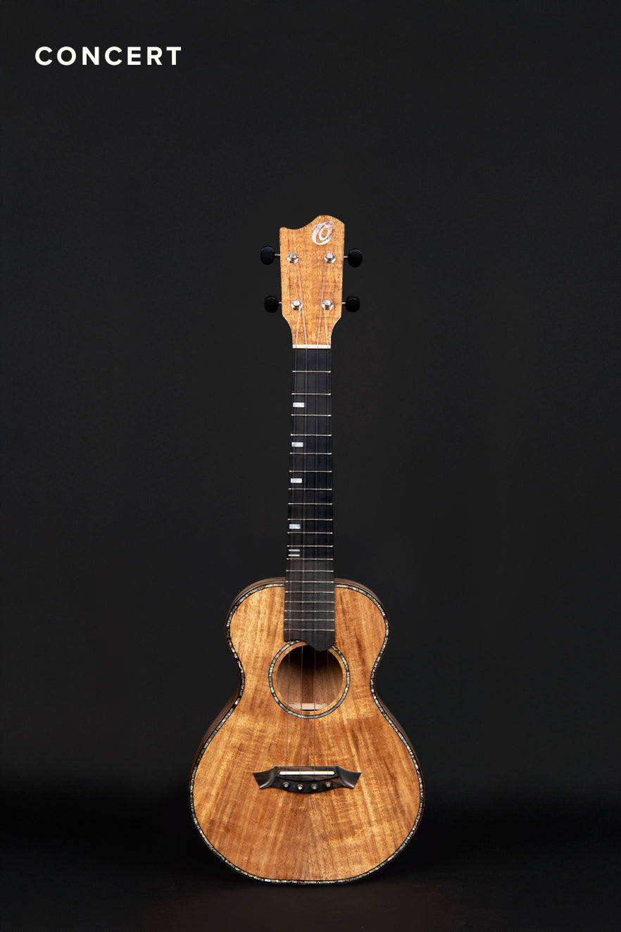 DC-KOA (C1, shop)
