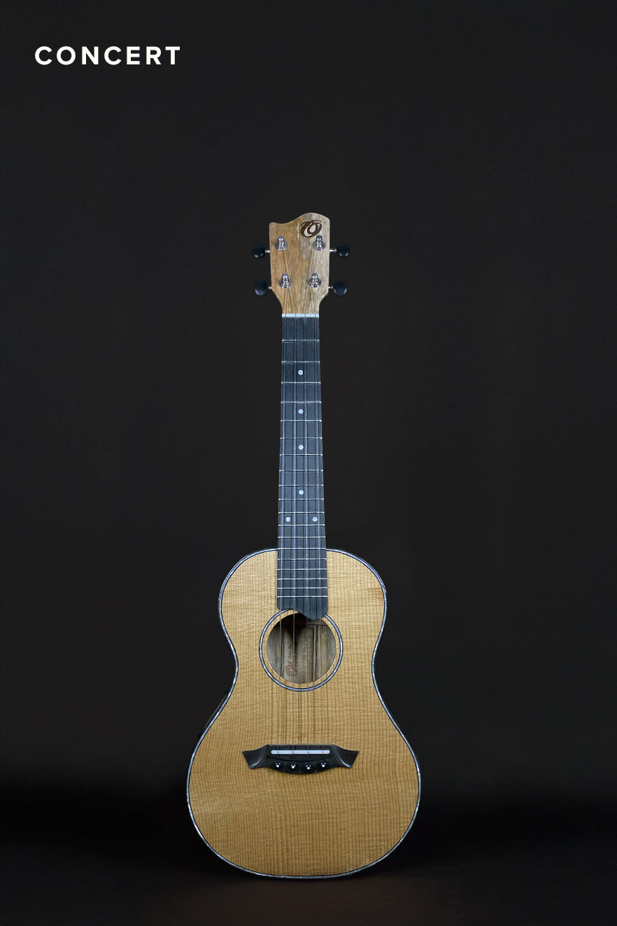 DC-TSMG (C6, prototype)