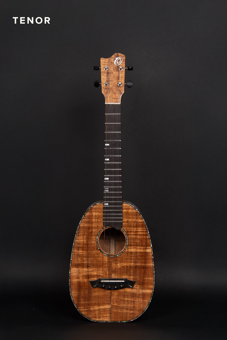 DPT-KOA (T12)