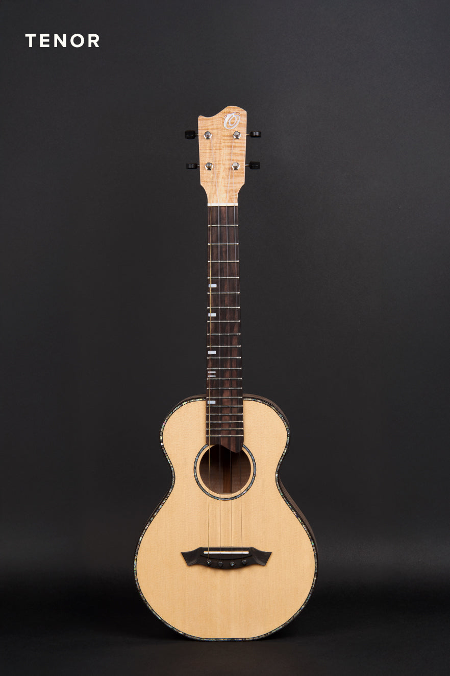 DT-PFM (T7)