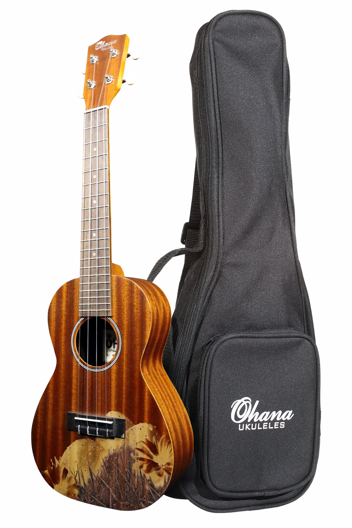 Custom Shop Laser Engraved CK-10 Concert