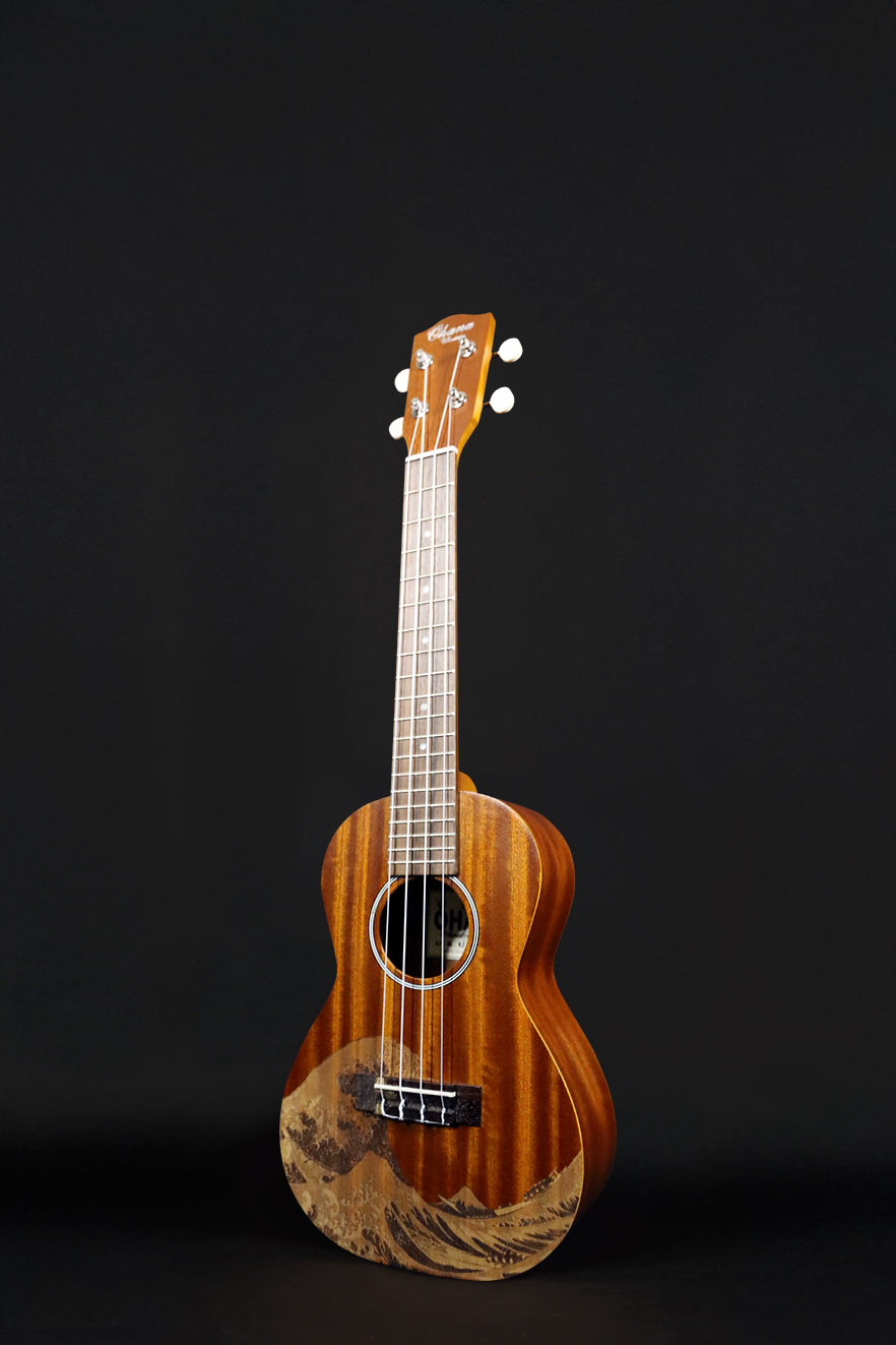 Custom Shop Laser Engraved CK-10 Concert