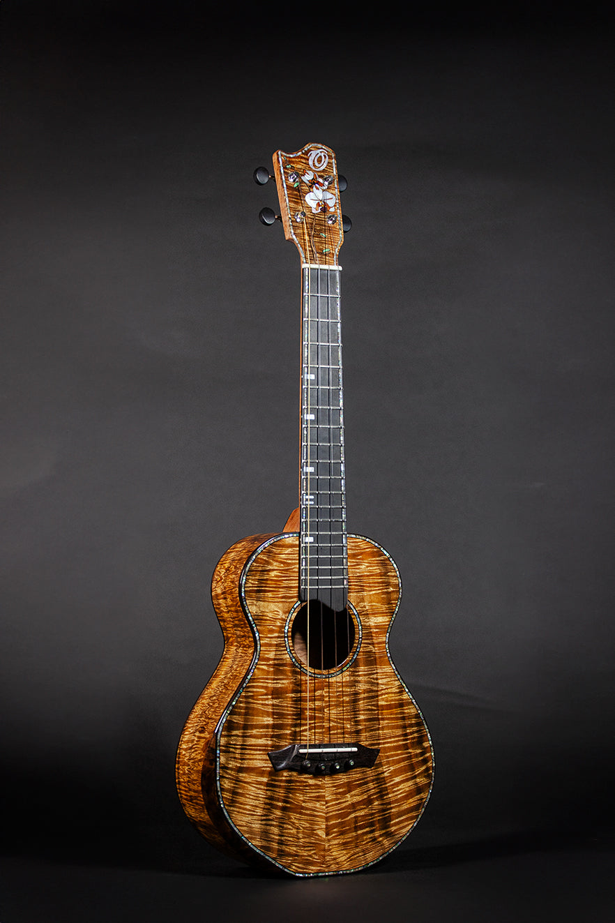 PT-EXHIBITION KOA
