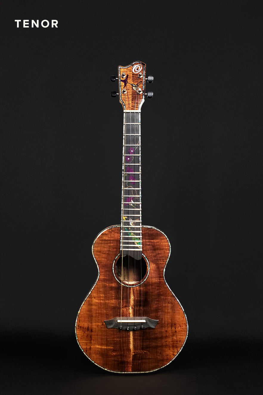 PT-HUMMINGBIRD (T32)