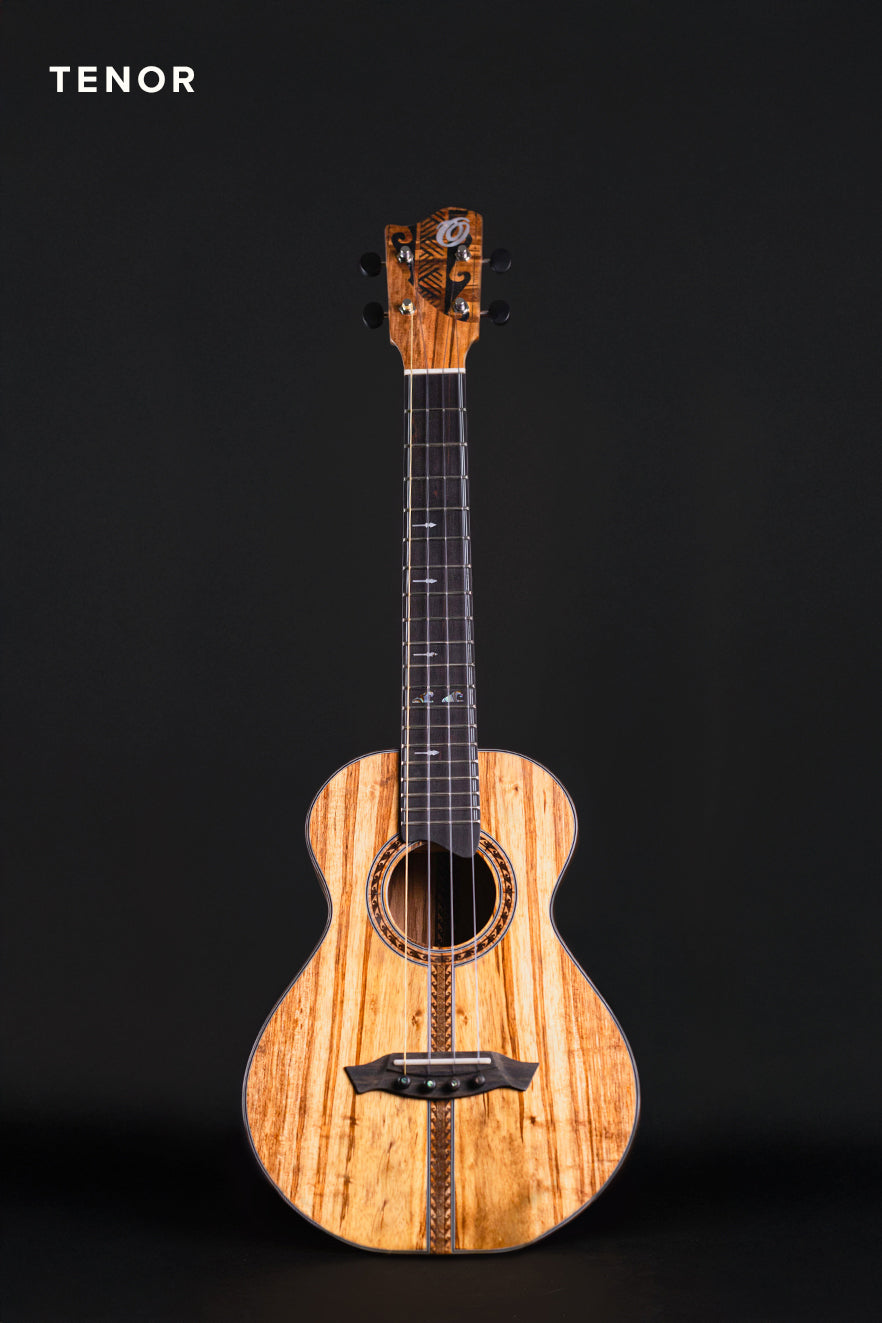 PT-POLYNESIAN (T9, shop)